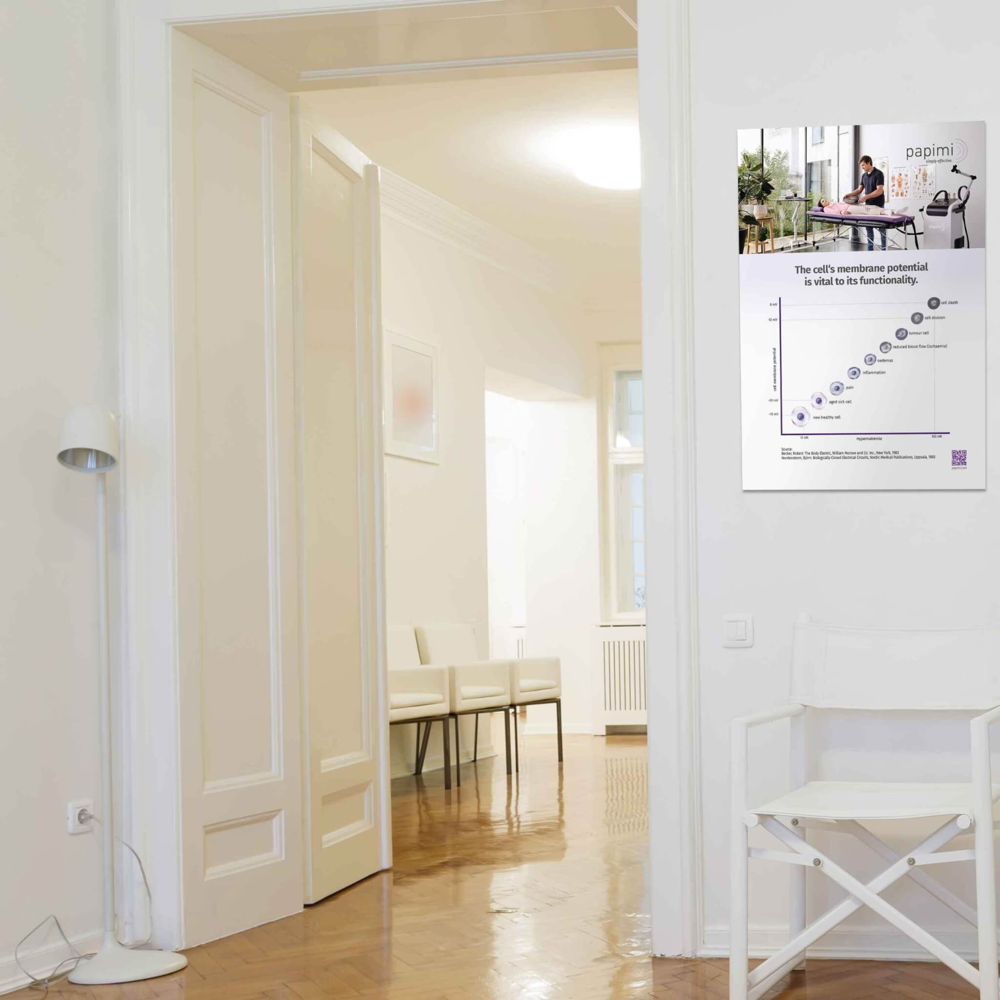 Poster "Membranpotenzial" (A3 hoch)